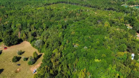 Unrestricted Land with Timber