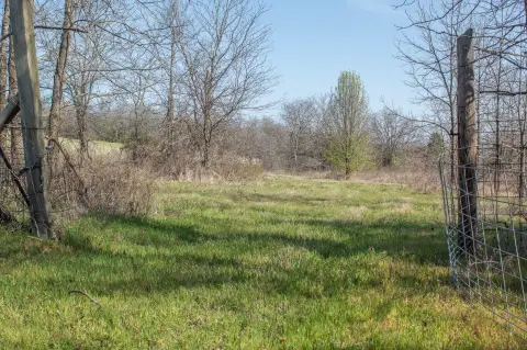 63 Acres Hunting/Build Site Land