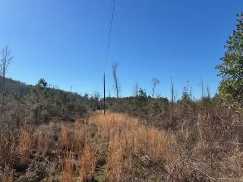 Wooded Hunting Land