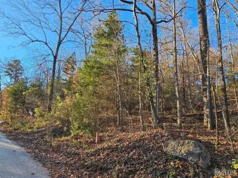 Ozark Land Near Current River