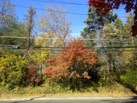 Staten Island Vacant Land
