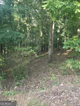 Riverfront Lot Near UGA Campus