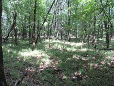 Land Near Lake Eufaula Access