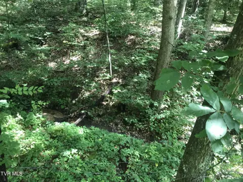 Greeneville Land Near Nolichucky River