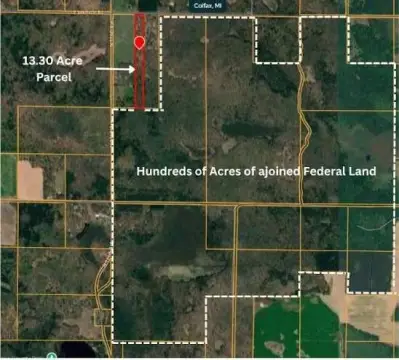 Wooded Recreational Land