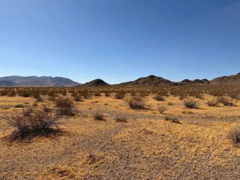 Ranch Farmland Parcel