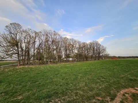 Monett, MO Land Opportunity
