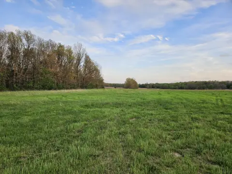 Wooded Land Near Monett, MO