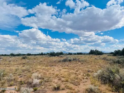 Heavily Treed Rural Land