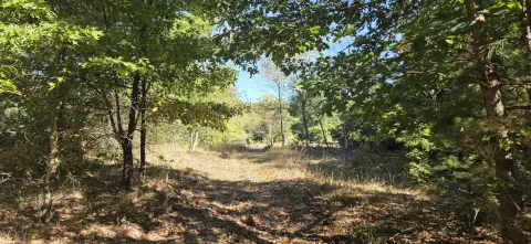 Wooded Hunting Land with Pond
