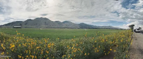 Irrigated Farmland with Water Rights