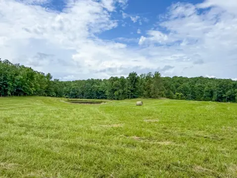 79 Acres Hunting Land