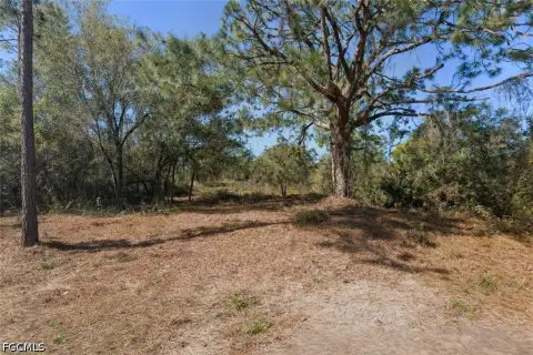 Residential Lot in Lehigh Acres