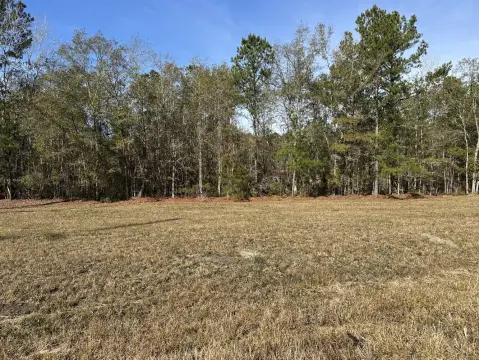 Bonneau Homesite Near Lake Moultrie