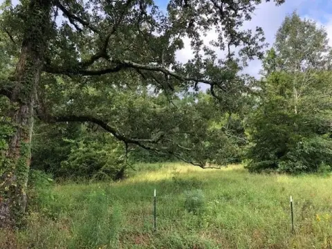 Henderson Acreage with Hunting Potential