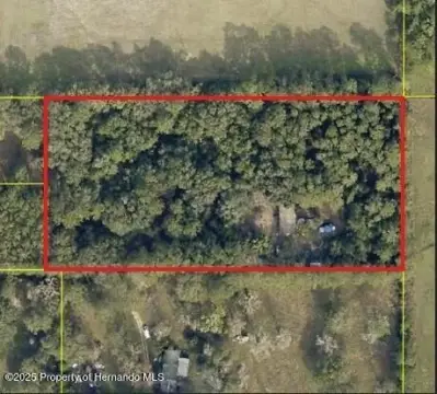Sprawling 5-Acre Brooksville Land