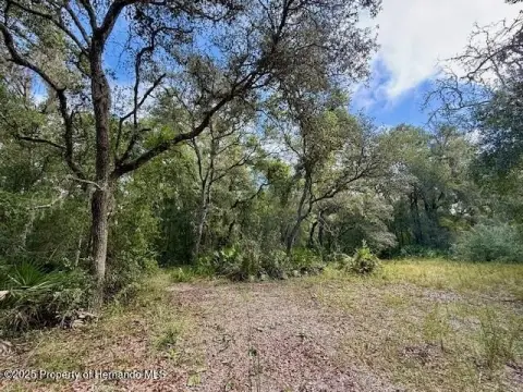 Webster, FL - 1.7 Acres