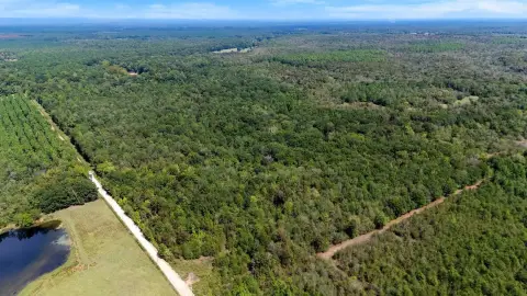 Wooded Hunting Land Along Creek