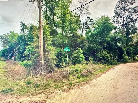 Residential Land in Satsuma, FL