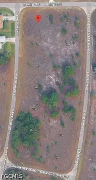 Lehigh Acres Vacant Lot