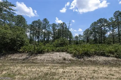 Residential Lot in Lehigh Acres