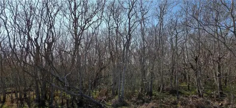 Rockport Land for Sale