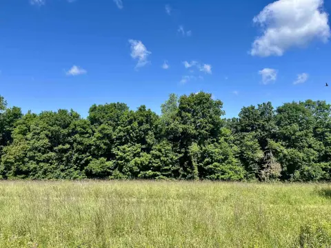 Recreational Hunting Land with Tillable Acres
