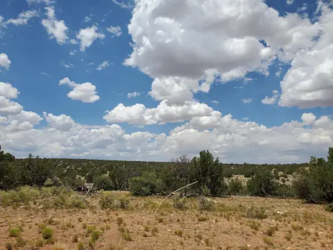 Recreation Land with Scenic Views