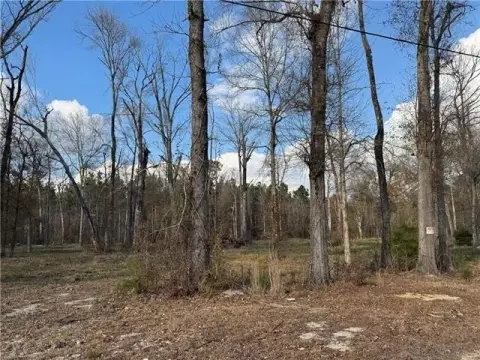 Residential Land in Holden, LA