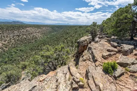 40 Acres Mountain Property