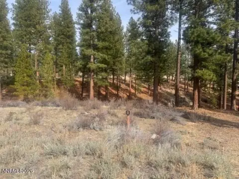 Serene Homesite in Clear Creek