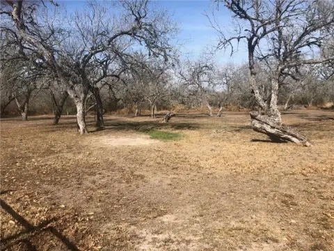 Land in Historic Normanna, TX