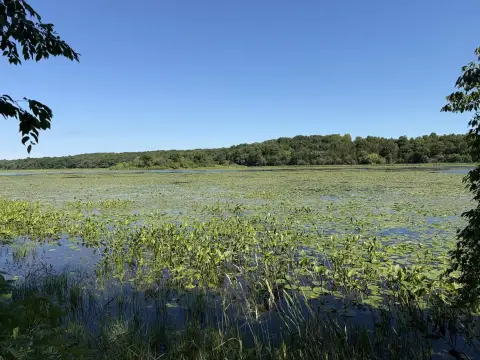 Buildable Waterfront Residential Lot