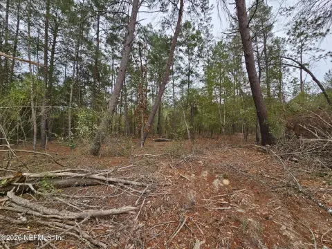 Partially Cleared Residential Lot