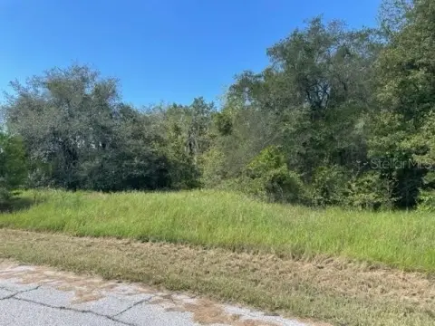 Residential Land in Poinciana Village