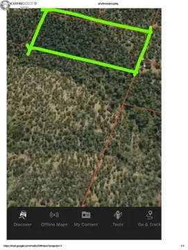 Untouched Forest Land in Cotopaxi