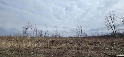 Expansive 133-Acre Land Parcel