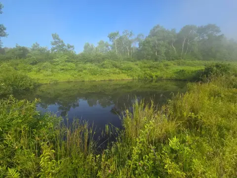 Recreational Farmland Parcel with Pond