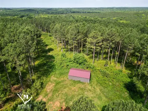 Gated Pine Plantation Acreage