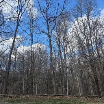Wooded Lot in Jamestown, NC
