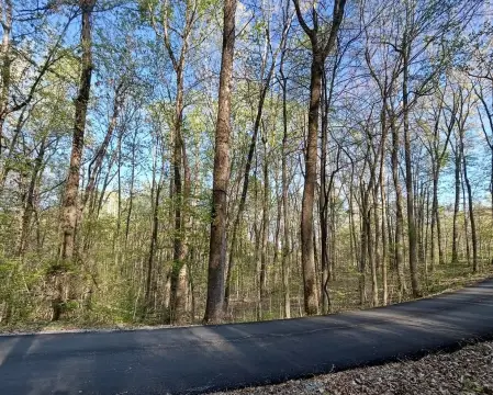 Wooded Residential Lot