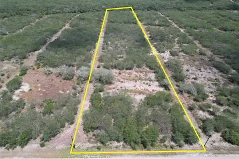 6.31 Acres Land in Alice