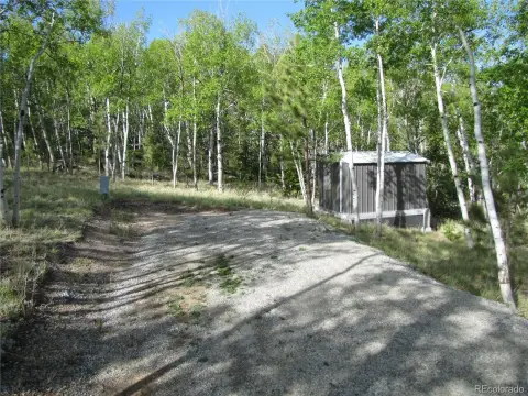 Treed Recreational Land Lot