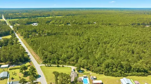 Wooded Hunting Land
