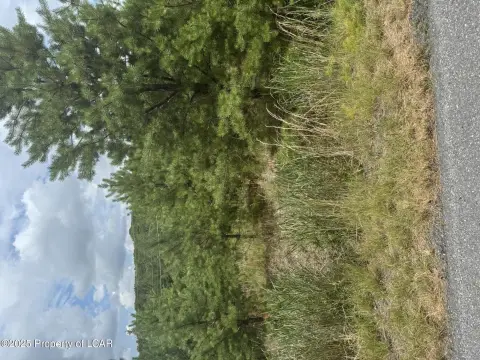 Residential Land in Eagle Rock Resort