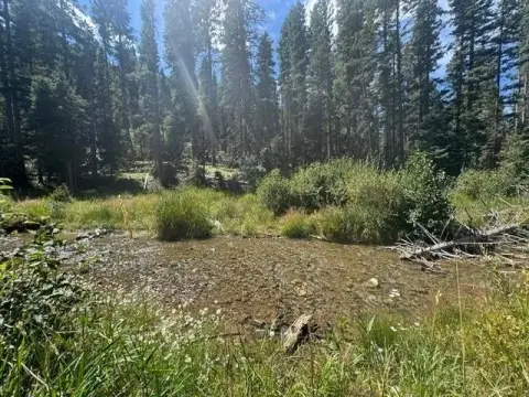 Riverfront Waterfront Land