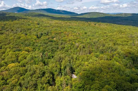 Wooded Recreation Land