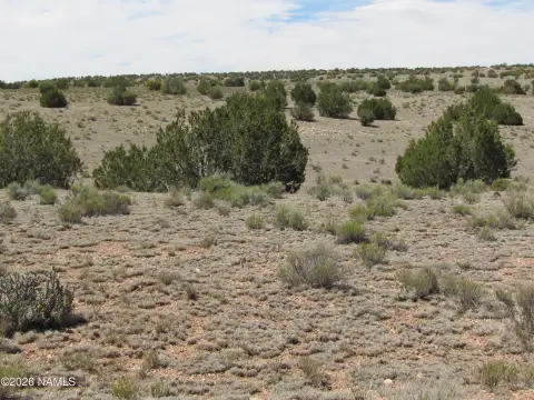 Recreational Land Parcel