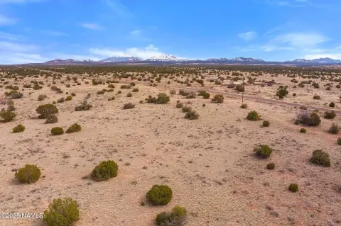 Highway-Adjacent Commercial Land Lot