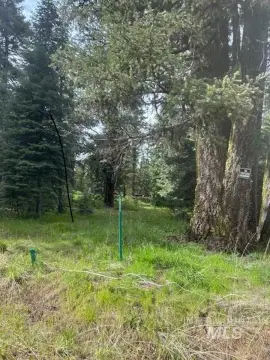Wooded Homesite Near Lake Cascade